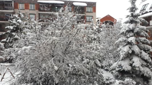 20210126_150858_January_2021_in_Białystok