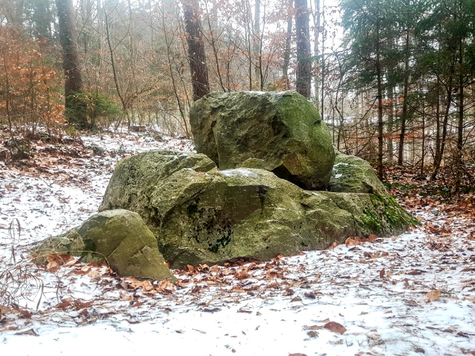 20210104_ND_Erratischer_Felsblock_„Heidenstein“5