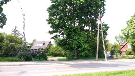 20210524_164033_May_2021_in_Białystok
