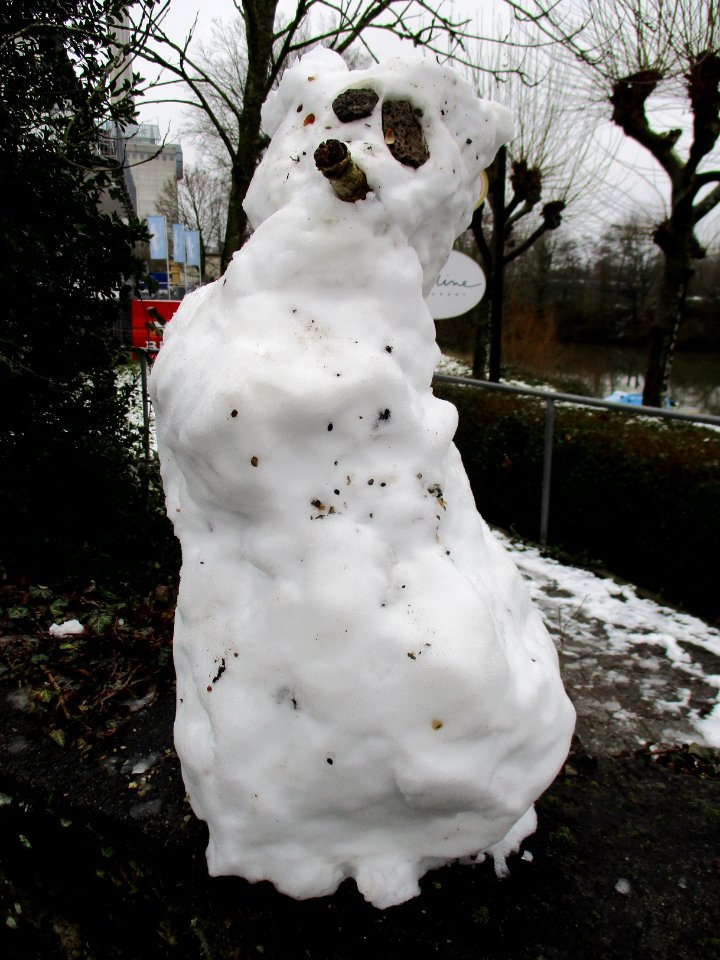 20210127Schneemann_Saarbrücken1