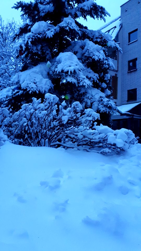 20210126_161341_January_2021_in_Białystok