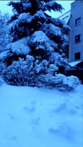 20210126_161341_January_2021_in_Białystok