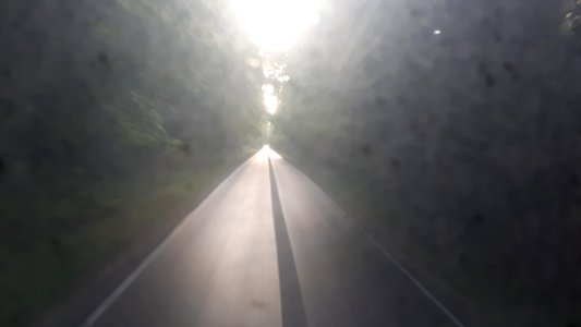 20210611_191023_Hajnówka-Białowieża_road_Podlaskie_2021