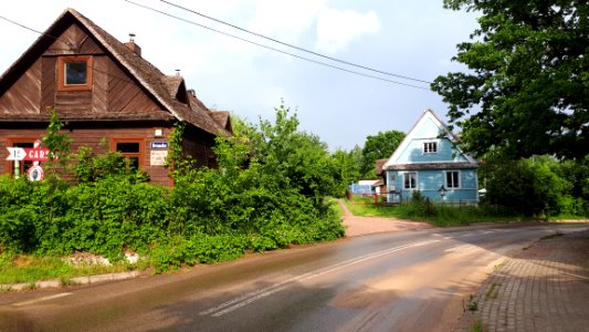 20210612_170655_June_2021_in_Białowieża
