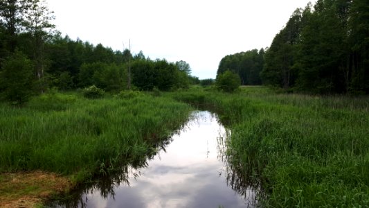 20210612_172814_June_2021_in_Białowieża