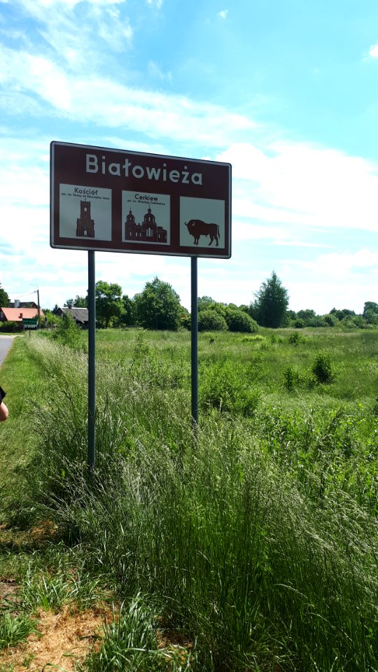 20210612_124525_June_2021_in_Białowieża