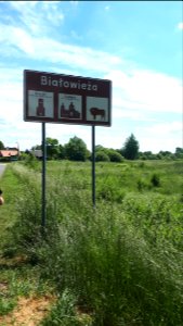 20210612_124525_June_2021_in_Białowieża