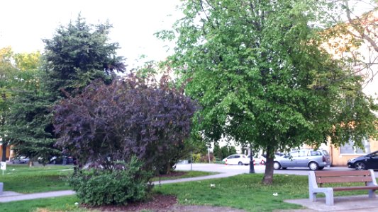 20210520_194334_May_2021_in_Białystok