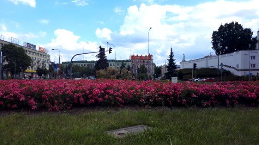 20210628_174052_June_2021_in_Białystok