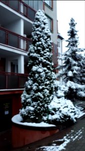 20210109_152244_Brukowa_Street_in_Białystok