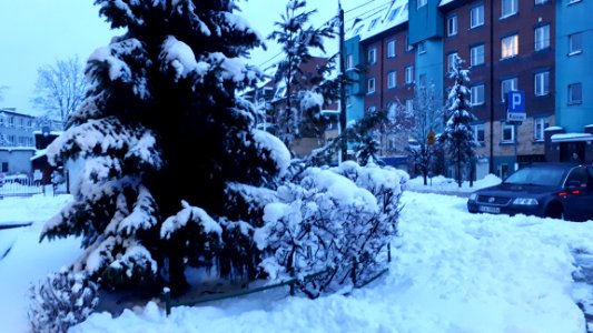20210126_161457_January_2021_in_Białystok