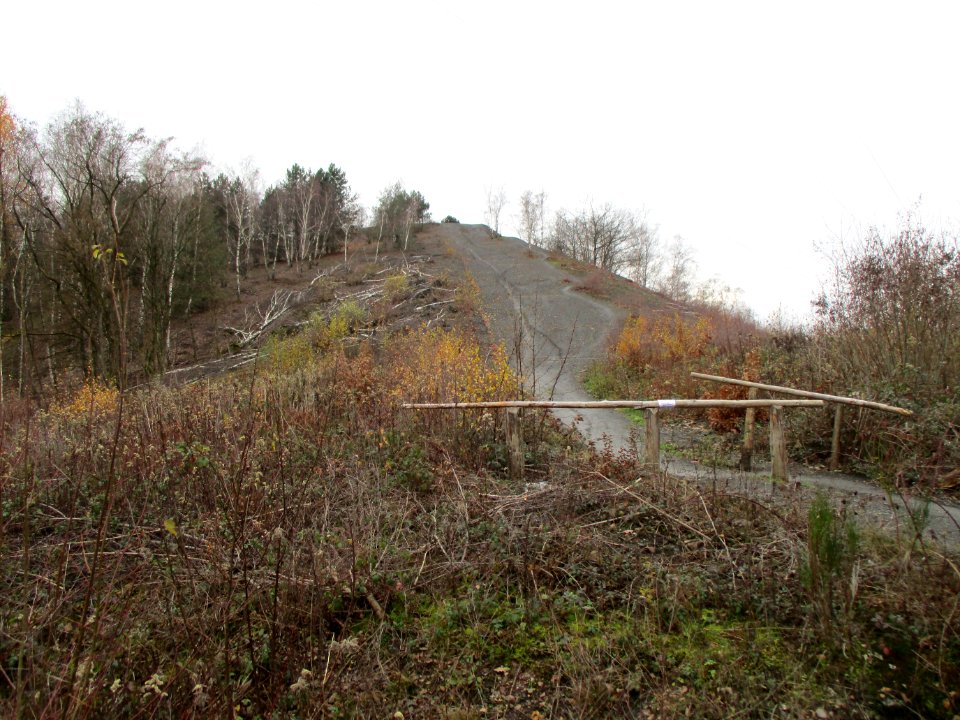 20201210Bergehalde_Jägersfreude2