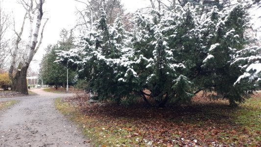20201129_120200_Park_Centralny_in_Białystok