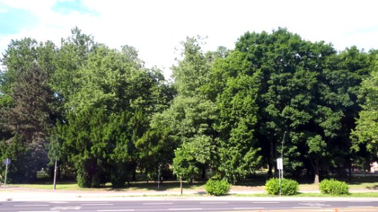 20210611_164158_June_2021_in_Białystok