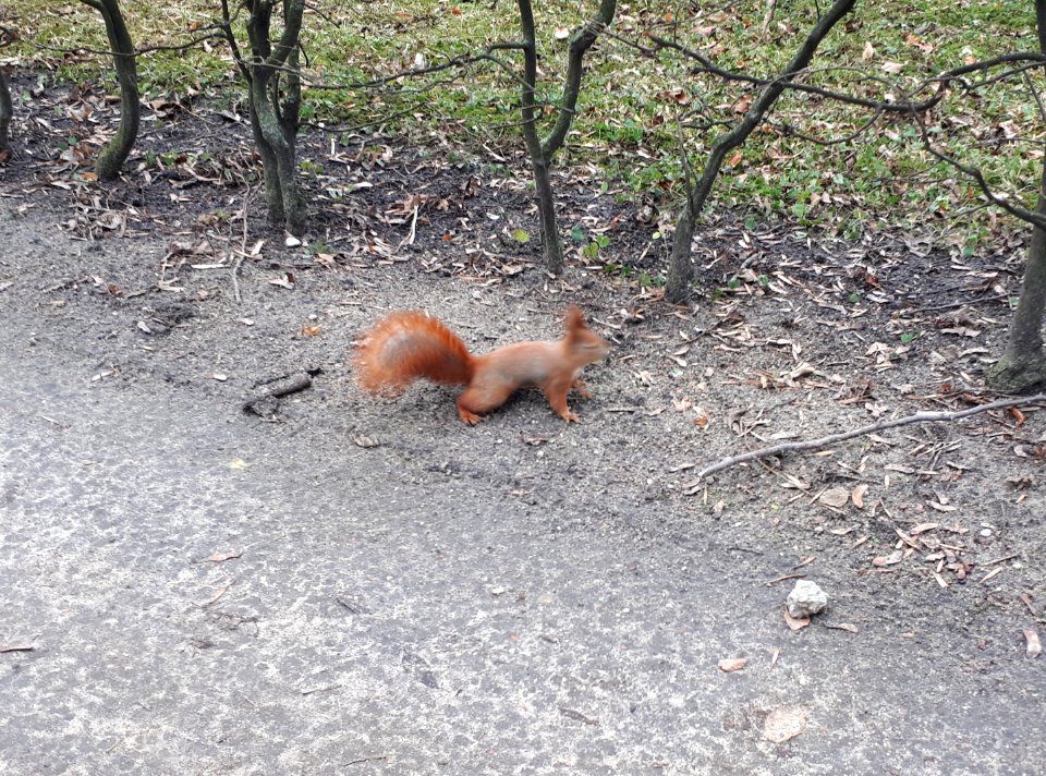 20201225_123114_Park_Branickich_w_Białymstoku