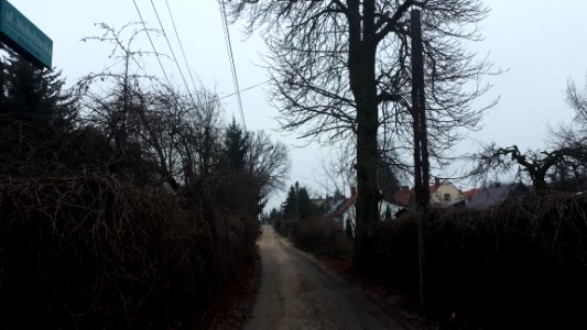 20210102_145636_Mohylowska_Street_in_Białystok