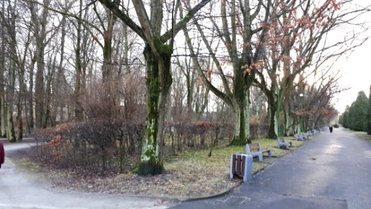 20201225_124538_Planty_park_in_Białystok