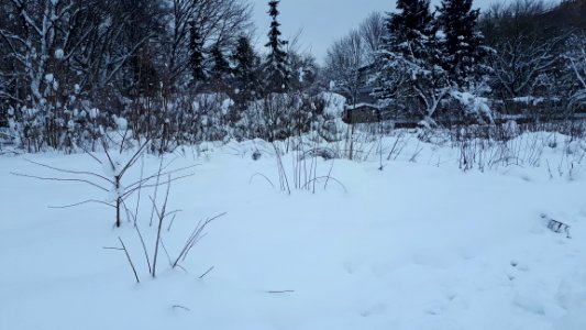 20210130_115933_January_2021_in_Białystok