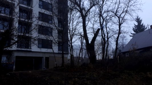 20201219_085313_Białystok