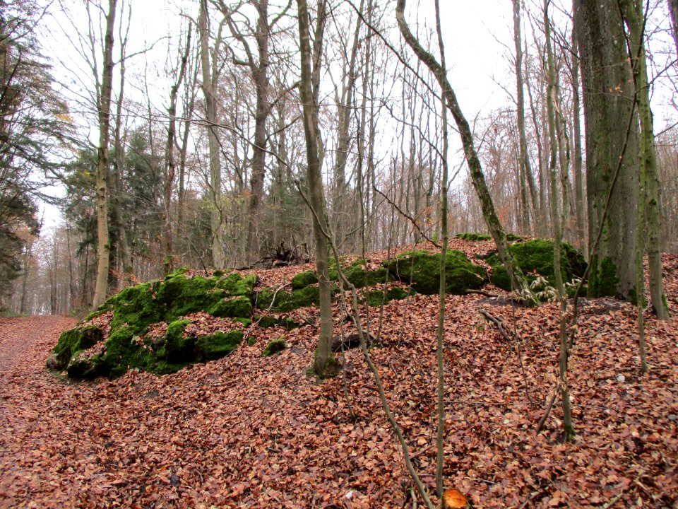 20201210Bunker_Dianenhain1