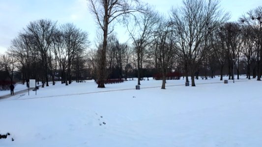 20210122_154007_Park_Antoniuk_in_Białystok