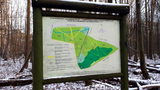 20201227_125114_Zwierzyniecki_Forest_in_Białystok