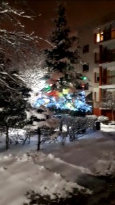 20210113_174653_January_2021_in_Białystok