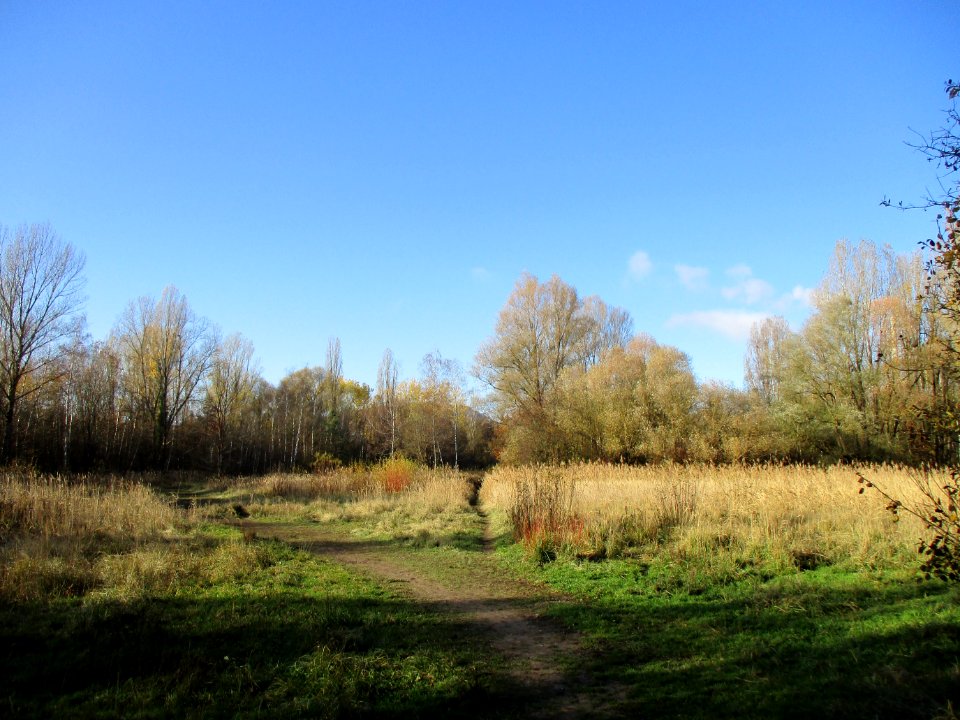 20201128St._Arnualer_Wiesen1
