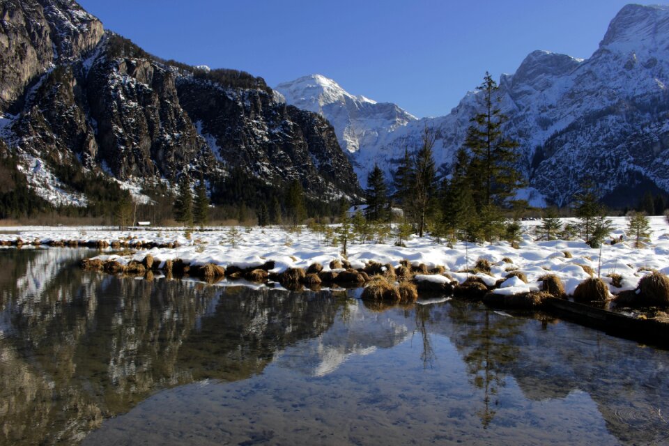Mood nature mirroring