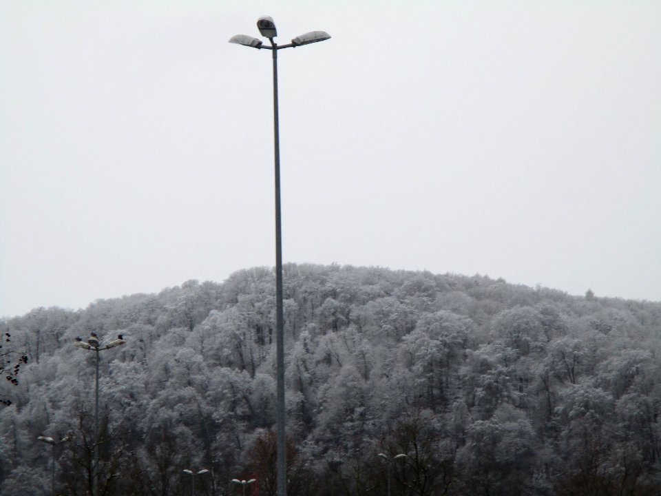 20210114Sonnenberg2