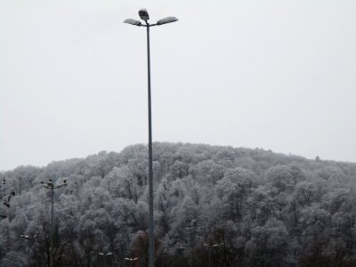 20210114Sonnenberg2