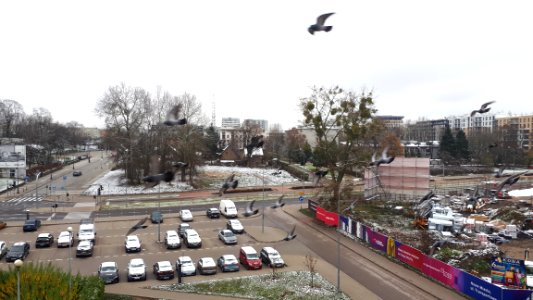 20201129_102041_November_2020_in_Białystok