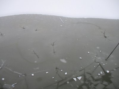 20210117Osthafen_Saarbrücken3