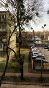 20201201_ul._Klonowa_December_2020_in_Łódź