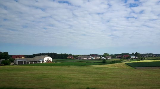 20210602_084618_Sikory-Piotrowięta