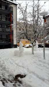 20210126_150918_January_2021_in_Białystok