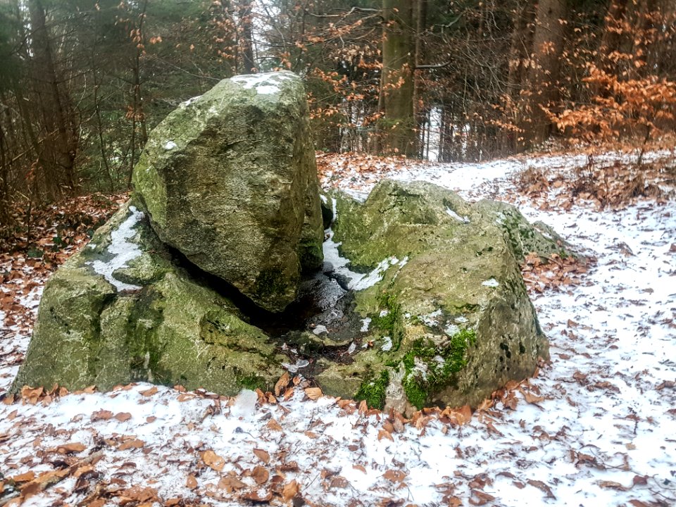 20210104_ND_Erratischer_Felsblock_„Heidenstein“3