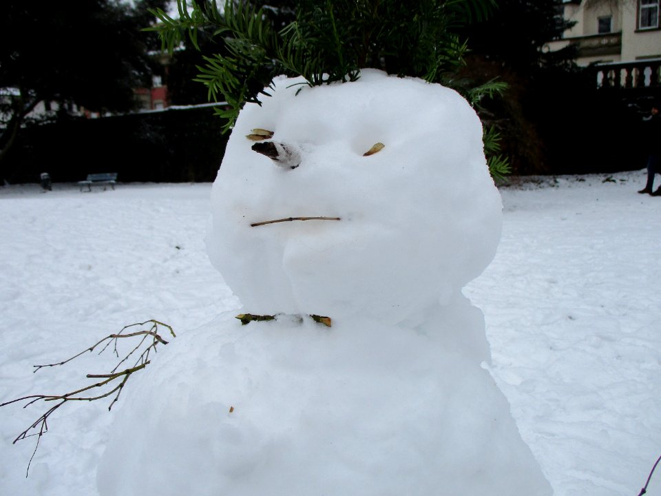 20210117Schneemann_Saarbrücken05