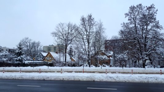 20210130_120134_January_2021_in_Białystok