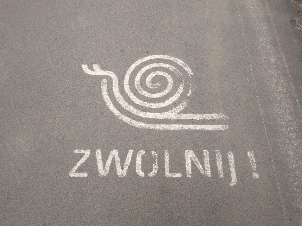 2021_Warszawa_droga_rowerowa_Żerań,_ślimaki,_1