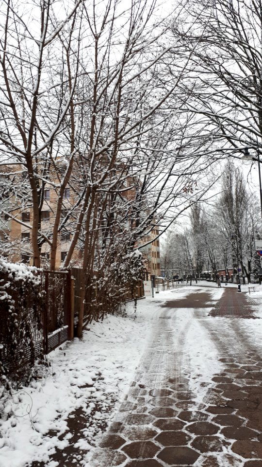 20210110_144942_January_2021_in_Białystok