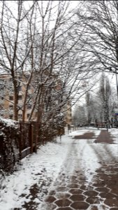 20210110_144942_January_2021_in_Białystok