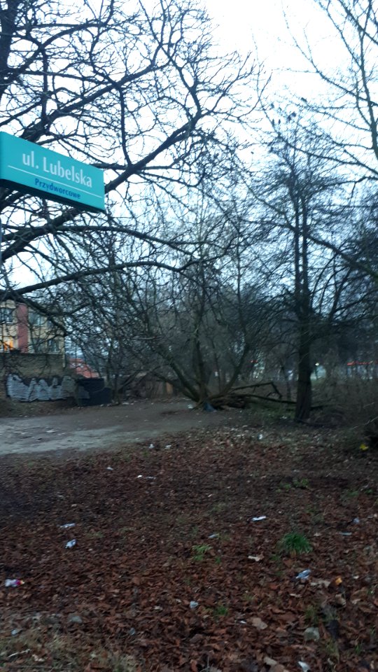 20210102_151242_Lubelska_Street_in_Białystok