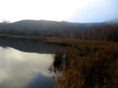 20201127Kohlbachtalweiher06