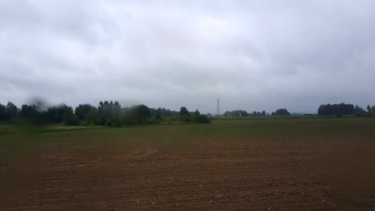20210613_101818_June_2021_in_Podlaskie_Voivodeship