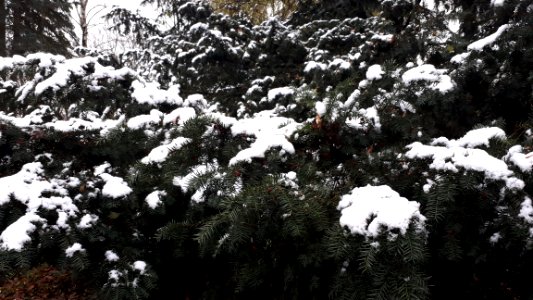 20201129_120155_Park_Centralny_in_Białystok
