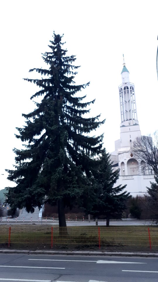 20210329_060816_March_2021_in_Białystok