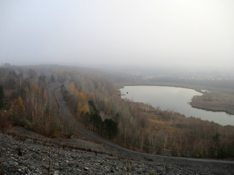 20201127Kohlbachtalweiher03