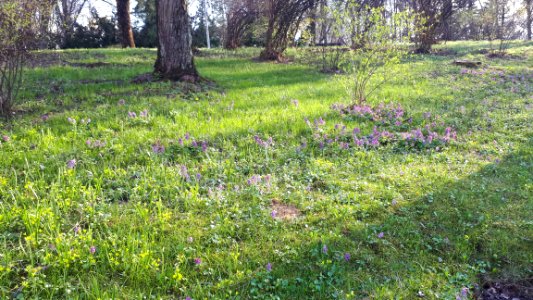 20210419_171302_April_2021_in_Białystok