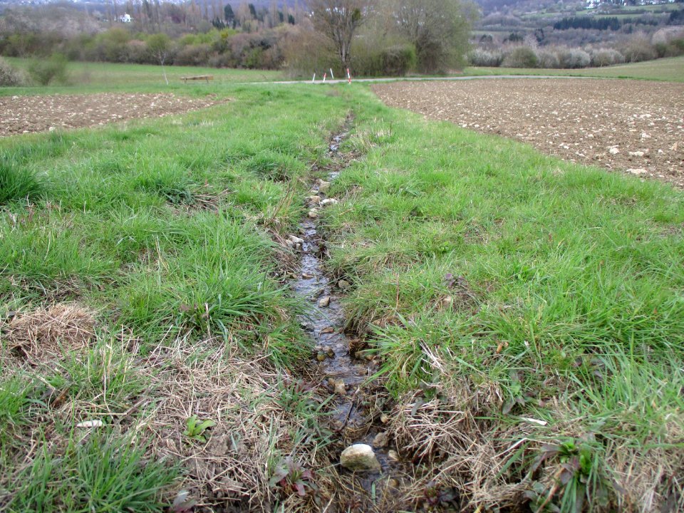 20210414Birzberg07